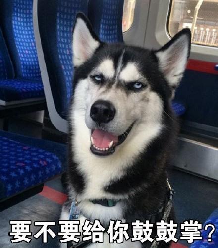 要不要给你鼓鼓掌？