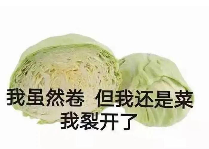 我虽然卷但我还是菜 我裂开了