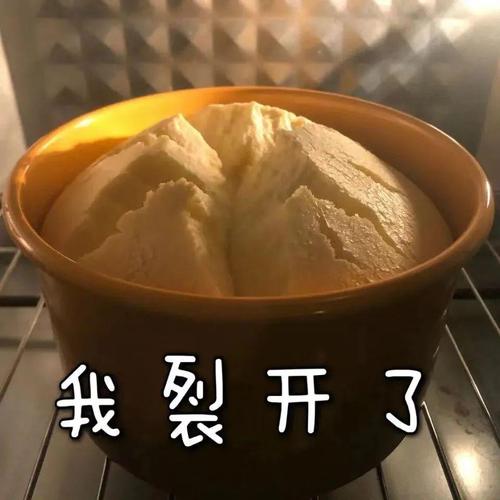 我裂开了