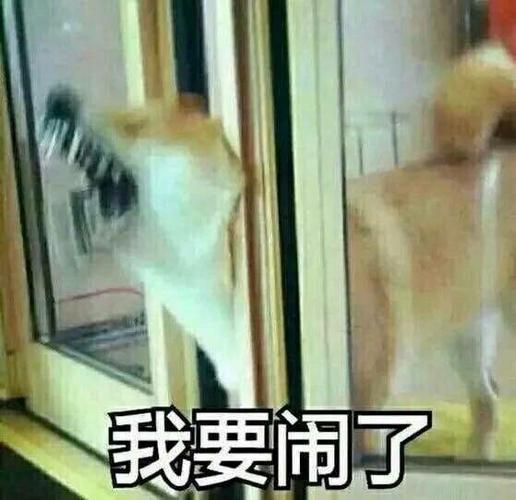 我要闹了