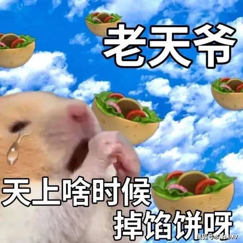 老天爷 天上啥时候 掉馅饼呀