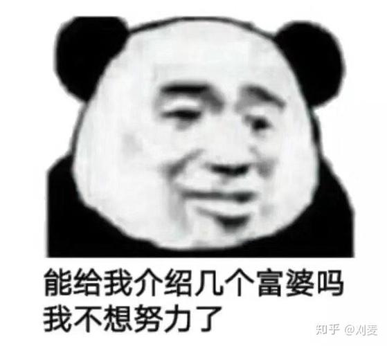 能给我介绍几个富婆吗 我不想努力了 知乎@刘雯