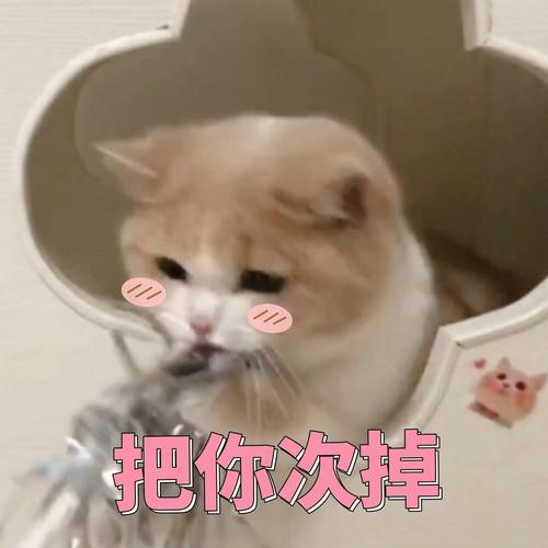 把你次掉