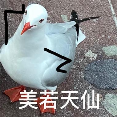 美若天仙