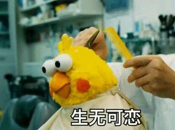 生无可恋