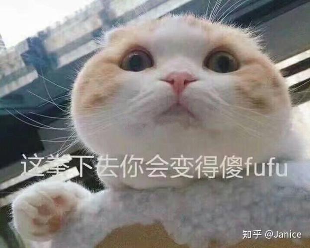 这等下去你会变得傻fufu 知乎@Janice