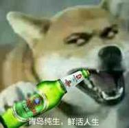 活人生