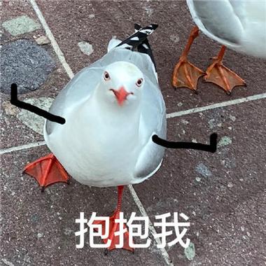 抱抱我