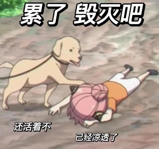 累了毁灭吧 还活着不 已经凉透了