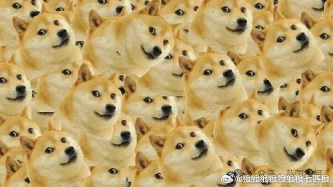 狼狼狼狼狼狼