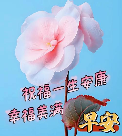 祝福一生安康 幸福美满 早安