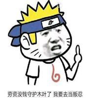 劳资没钱守护木叶了我要去当叛