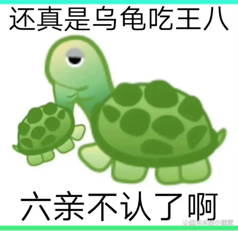 还真是乌龟吃王八 六亲不认了啊 @不木的小课堂