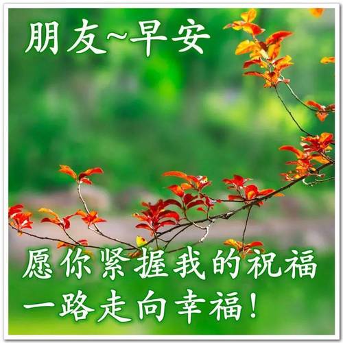 朋友~早安 愿你紧握我的祝福 一路走向幸福！