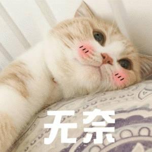 无奈