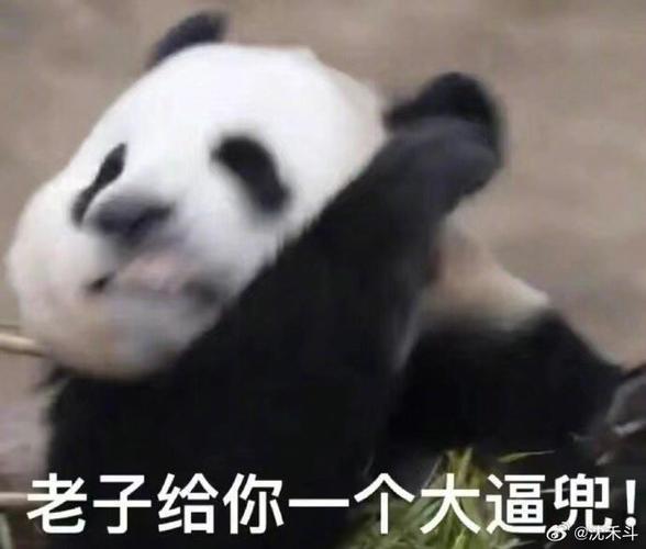 老子给你一个大逼兜！