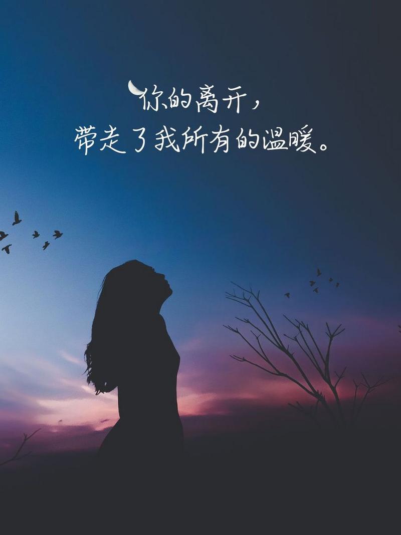 你的离开， 带走了我所有的温暖。