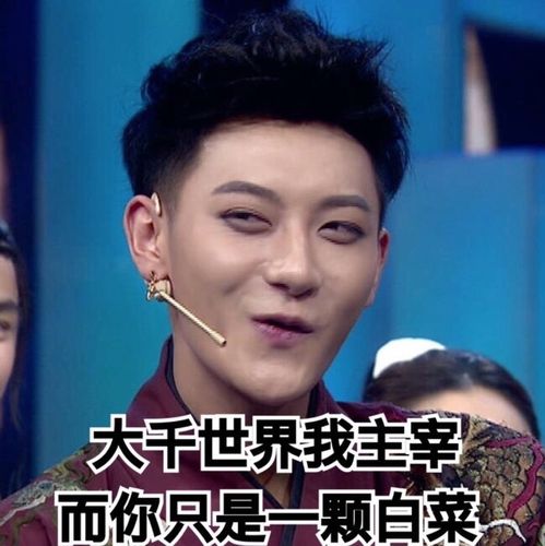 大千世界我主宰 而你只是一颗白菜