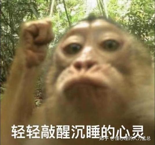 轻轻敲醒沉睡的心灵