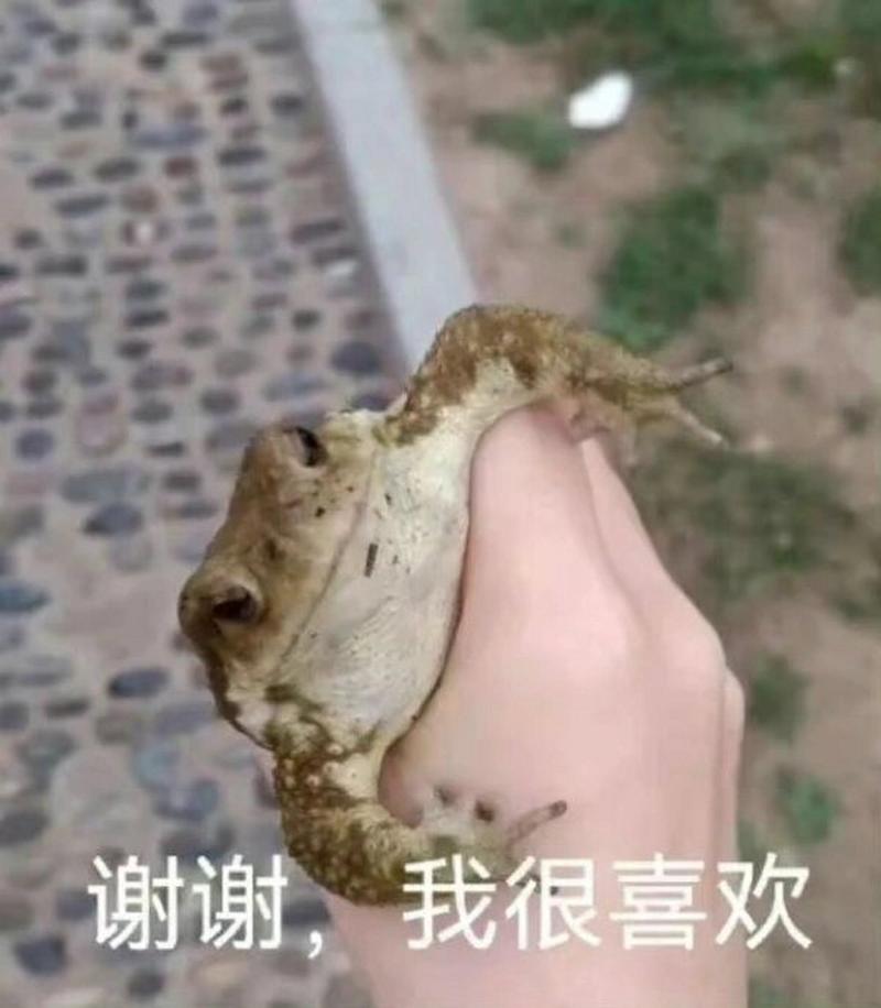 谢谢，我很喜欢