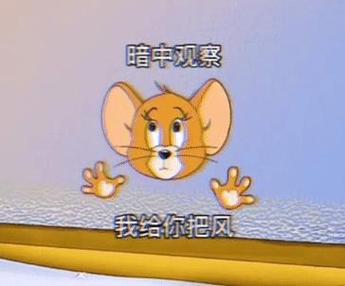暗中观察 我给你把风