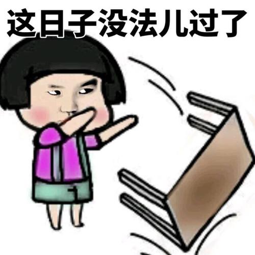 这日子没法儿过了