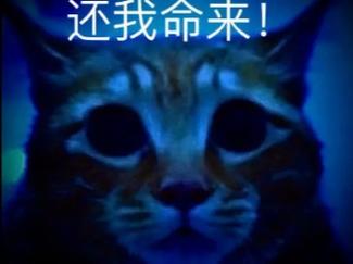 还我命来！