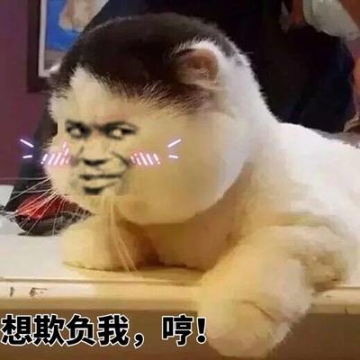 想欺负我，哼！
