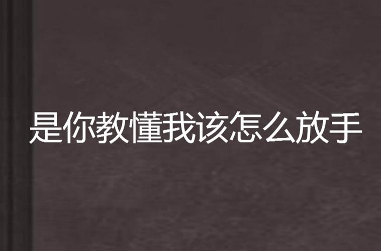 是你教懂我该怎么放手