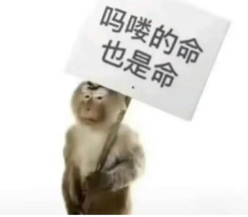 吗喽的命 也是命