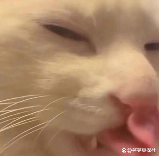@笑笑真探社