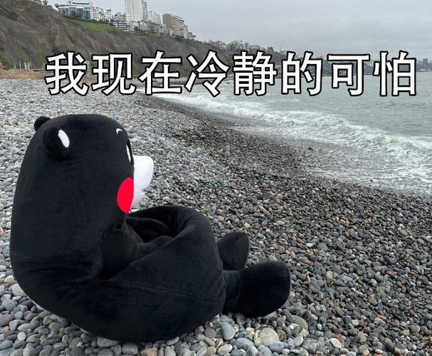 我现在冷静的可怕