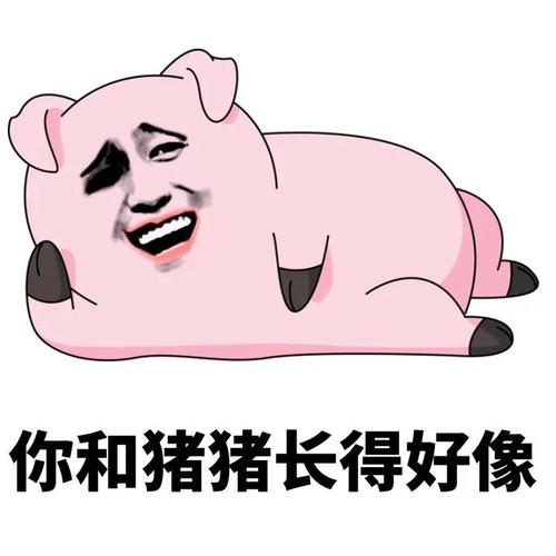 你和猪猪长得好像