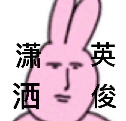 英俊 潇酒
