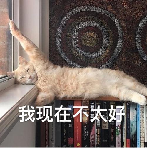 我现在不太好