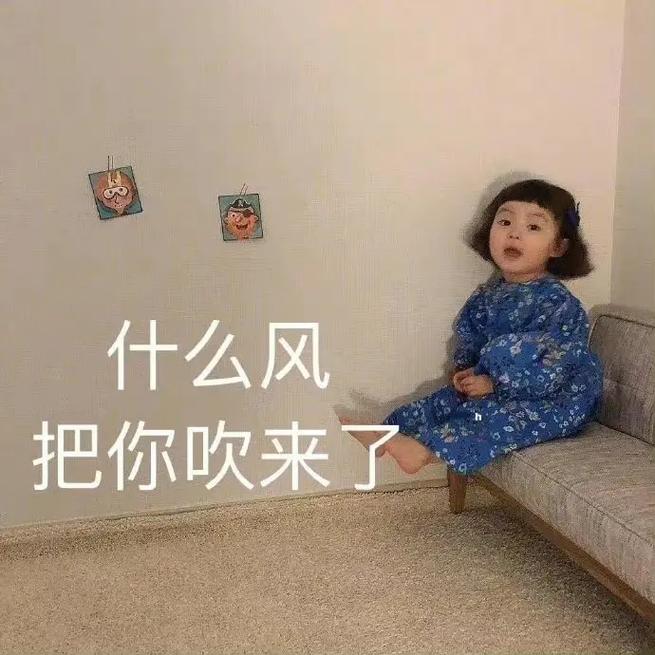 什么风 把你吹来了