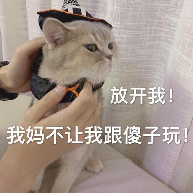 放开我！ 我妈不让我跟傻子玩！