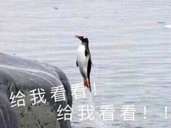 给我看看 给我看看！