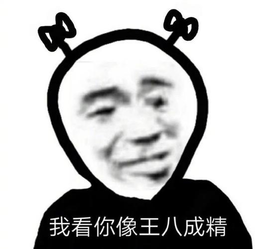 我看你像王八成精