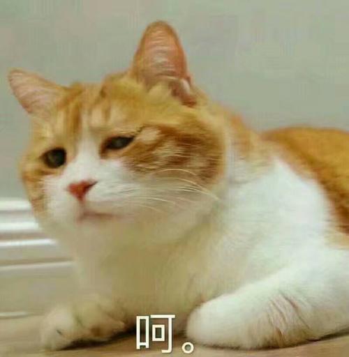 阿。