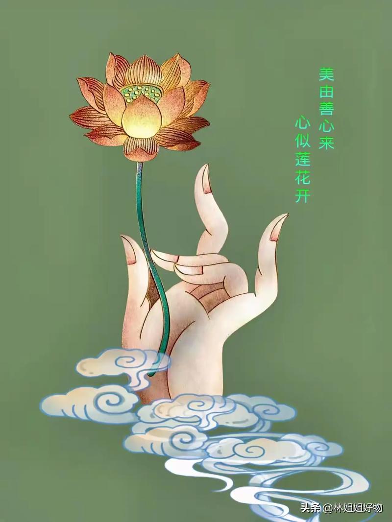 美由善心来 心似莲花开 林姐々好物