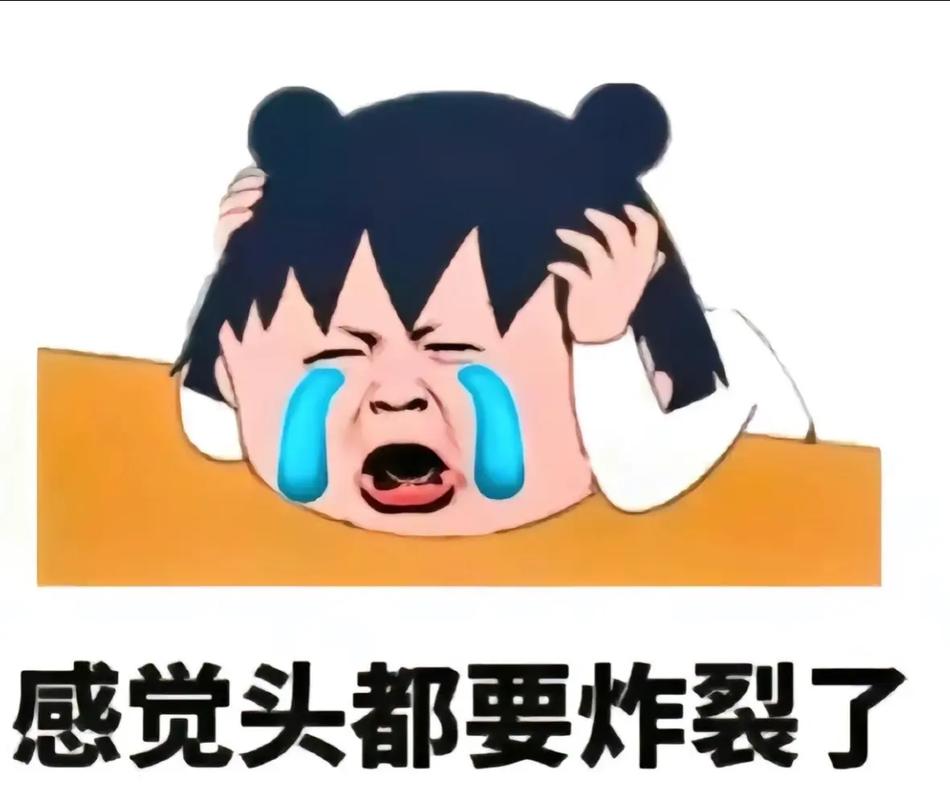 感觉头都要炸裂了