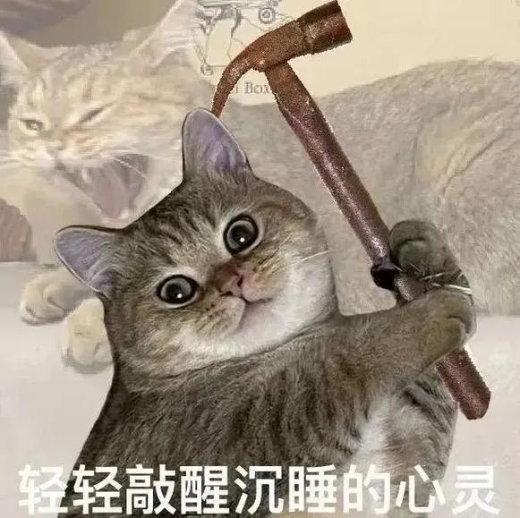 轻轻敲醒沉睡的心灵