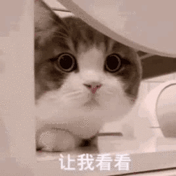 让我看看