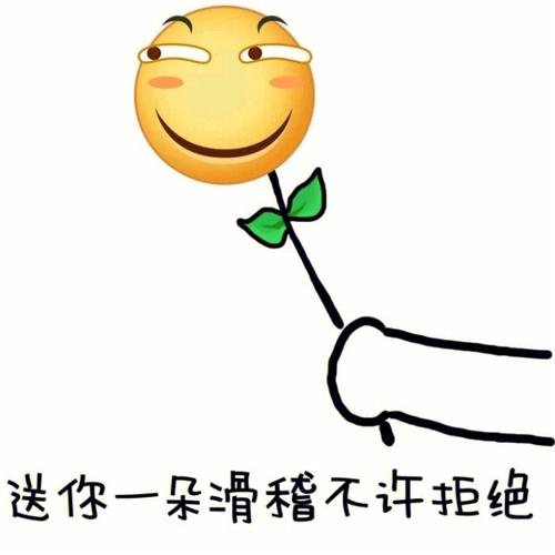 送你一朵滑稽不许拒绝