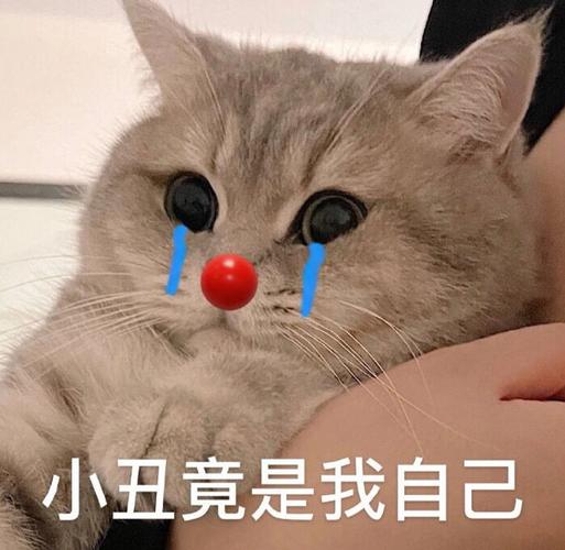 小丑竟是我自己