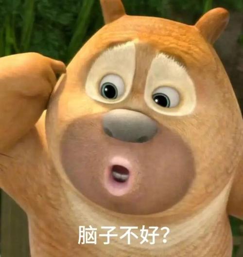 脑子不好？