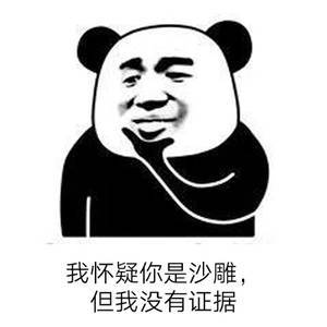 我怀疑你是沙雕 但我没有证据