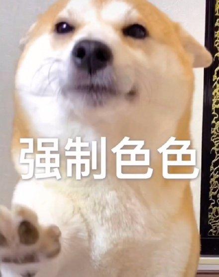 强制色色