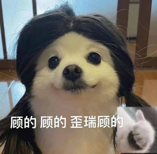 顾的顾的歪瑞顾的